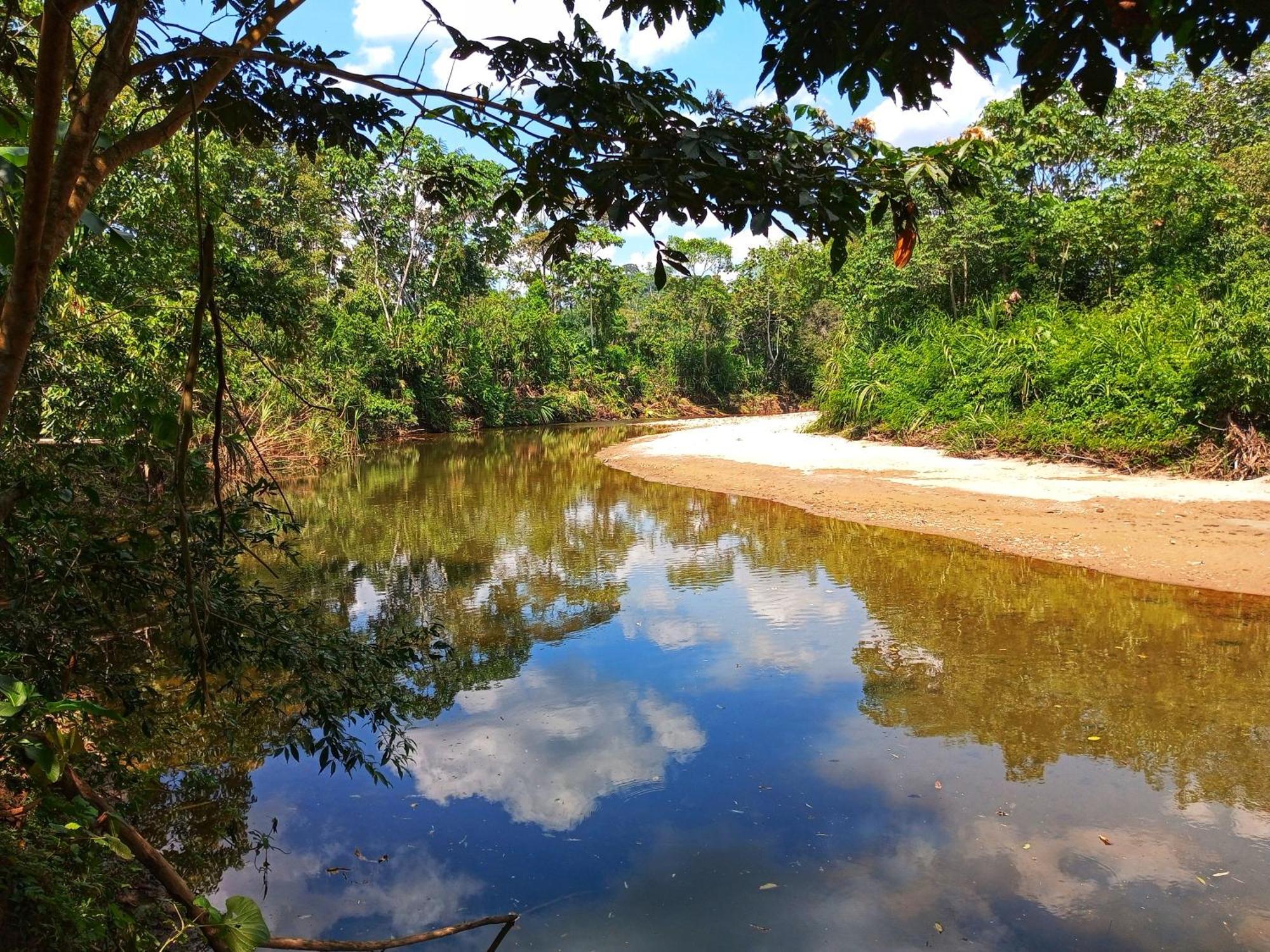 Cabañas Awana Río Arajuno Exterior foto