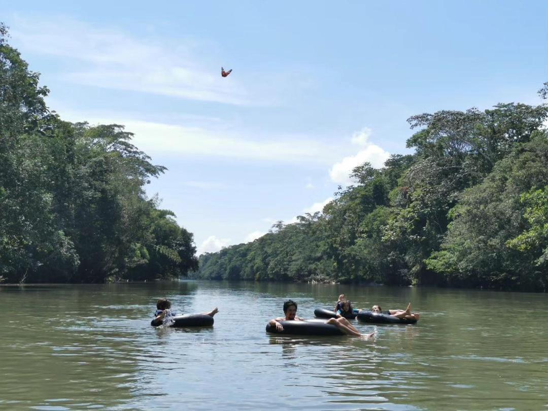 Cabañas Awana Río Arajuno Exterior foto